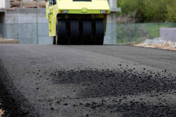 Best Driveway Paving Contractor  in Vamo, FL