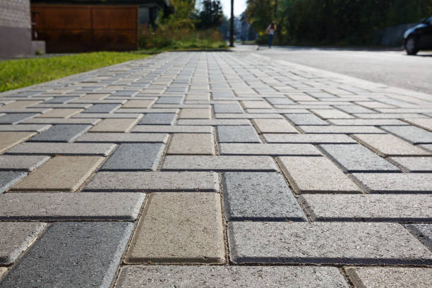 Best Decorative Driveway Pavers  in Vamo, FL