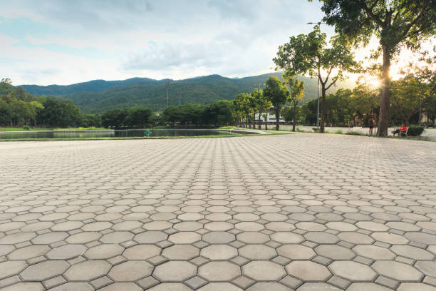 Best Interlocking Driveway Pavers  in Vamo, FL