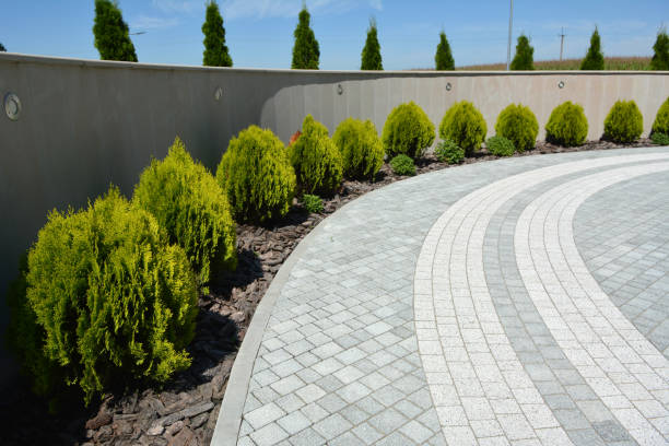 Best Residential Paver Driveway  in Vamo, FL