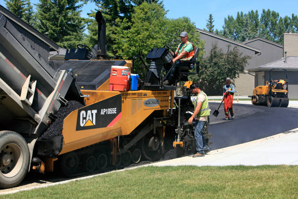 Best Local Driveway Pavers  in Vamo, FL