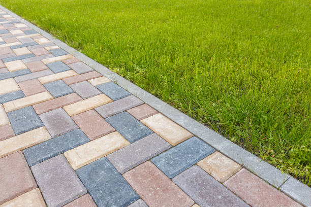 Best Local Driveway Pavers  in Vamo, FL